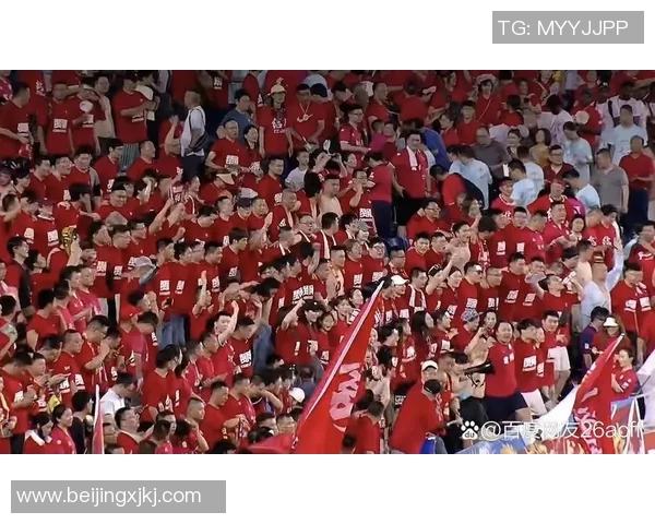 宁波电视台精彩直播足球比赛球迷热情高涨共庆胜利时刻