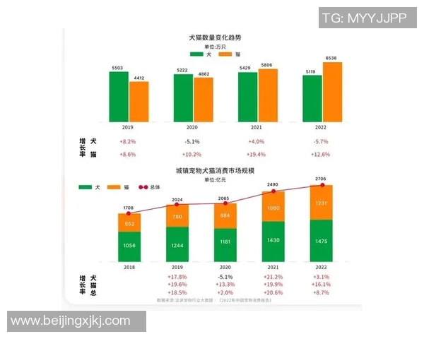 加克波在足球赛场的崛起与未来发展潜力分析